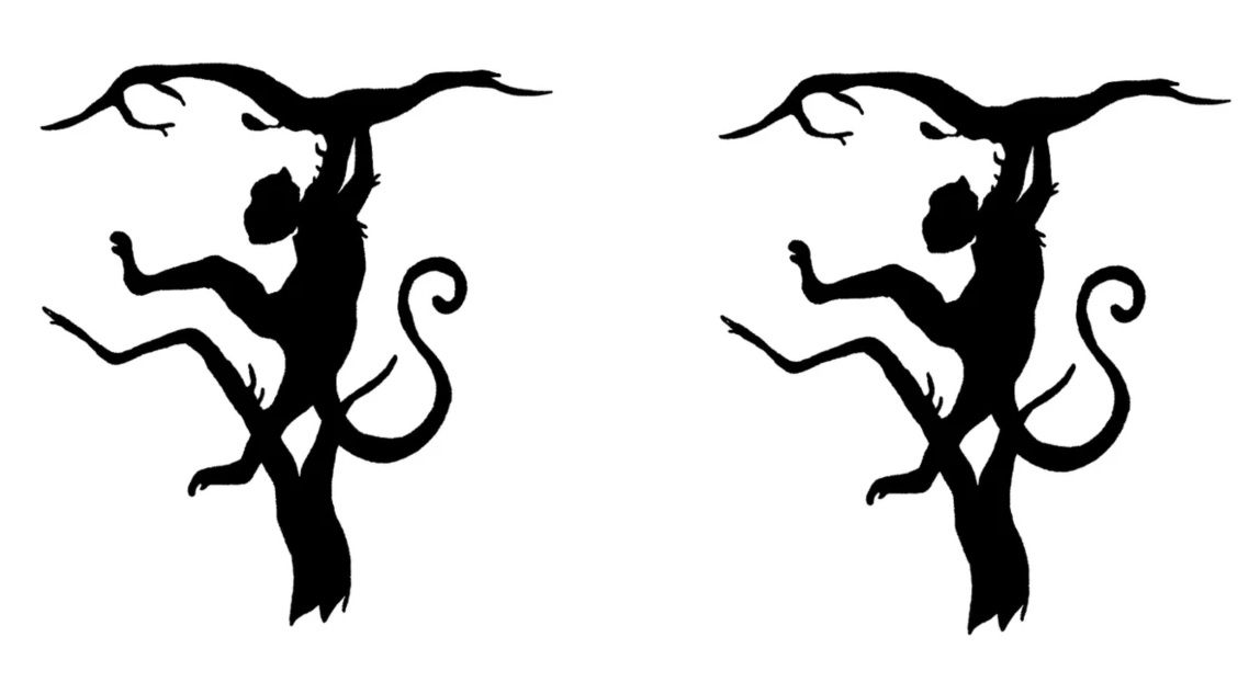 Τεστ προσωπικότητας, οπτική ψευδαίσθηση