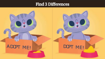 Τεστ παρατηρητικότητας: Μπορείτε να βρείτε τις 3 διαφορές στις εικόνες με τη γάτα σε 9 δευτερόλεπτα;