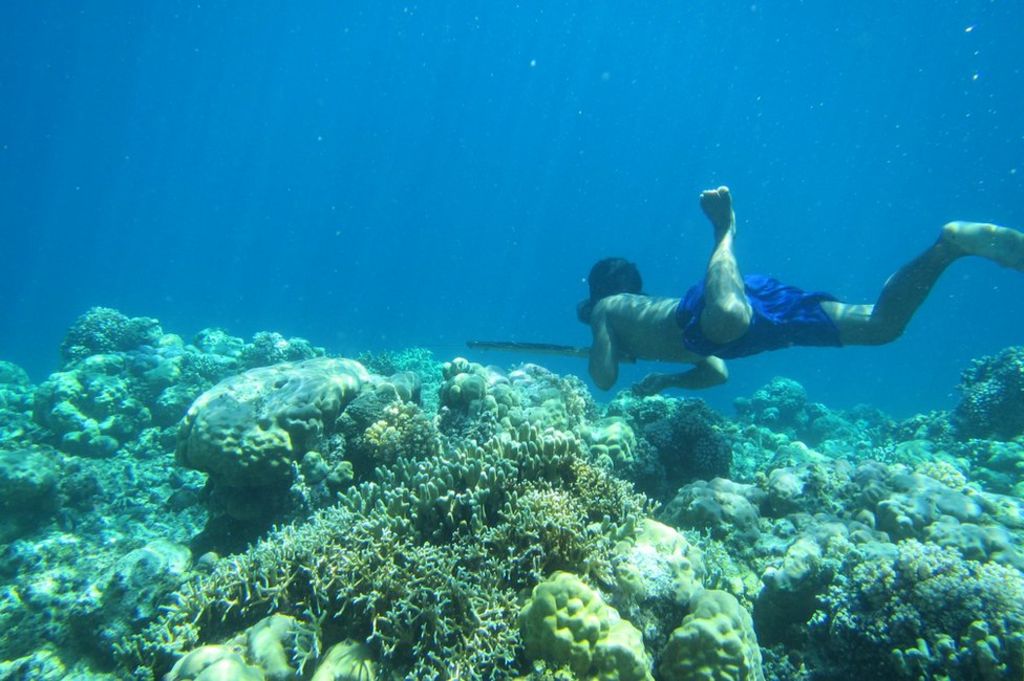 φυλή Bajau