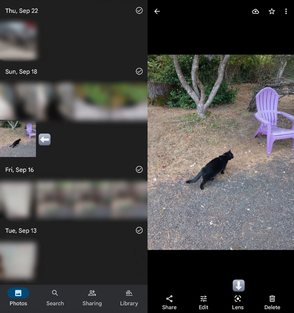Google Lens Google Photos