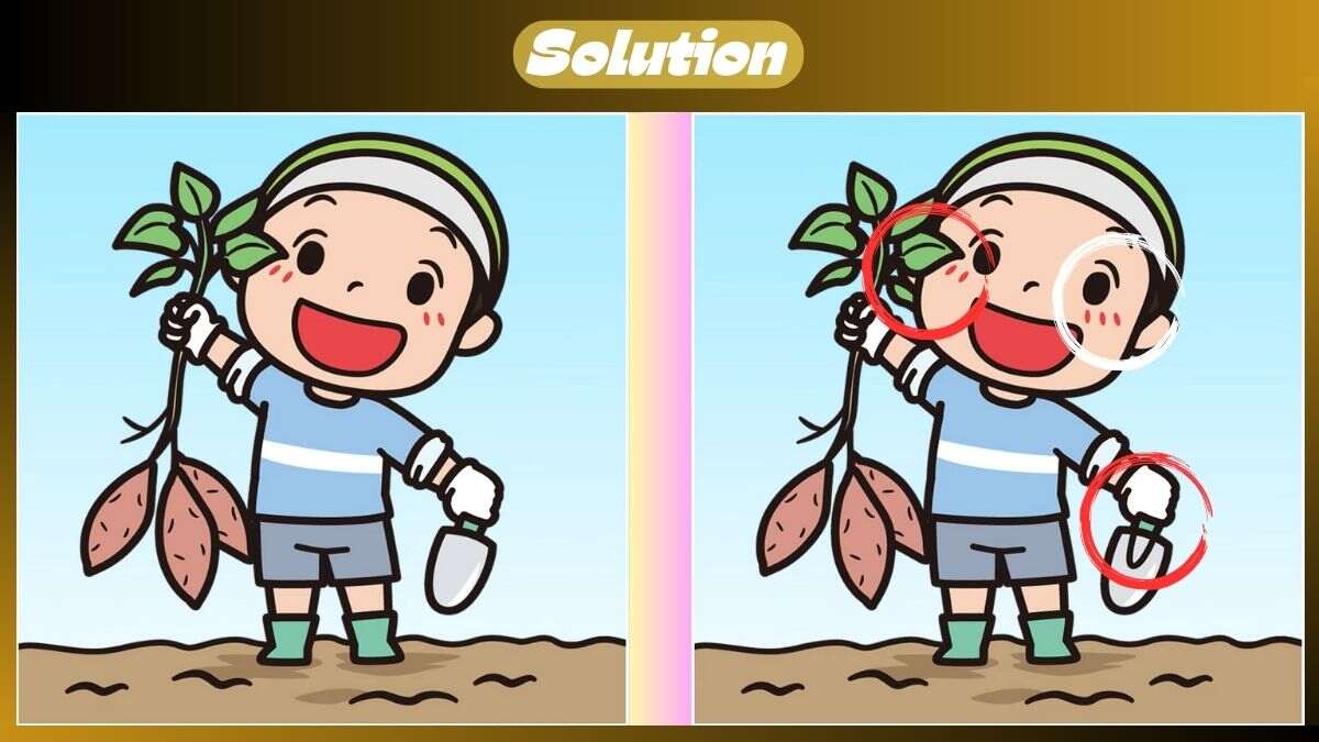 Τεστ παρατηρητικότητας, διαφορές αγρότης λύση