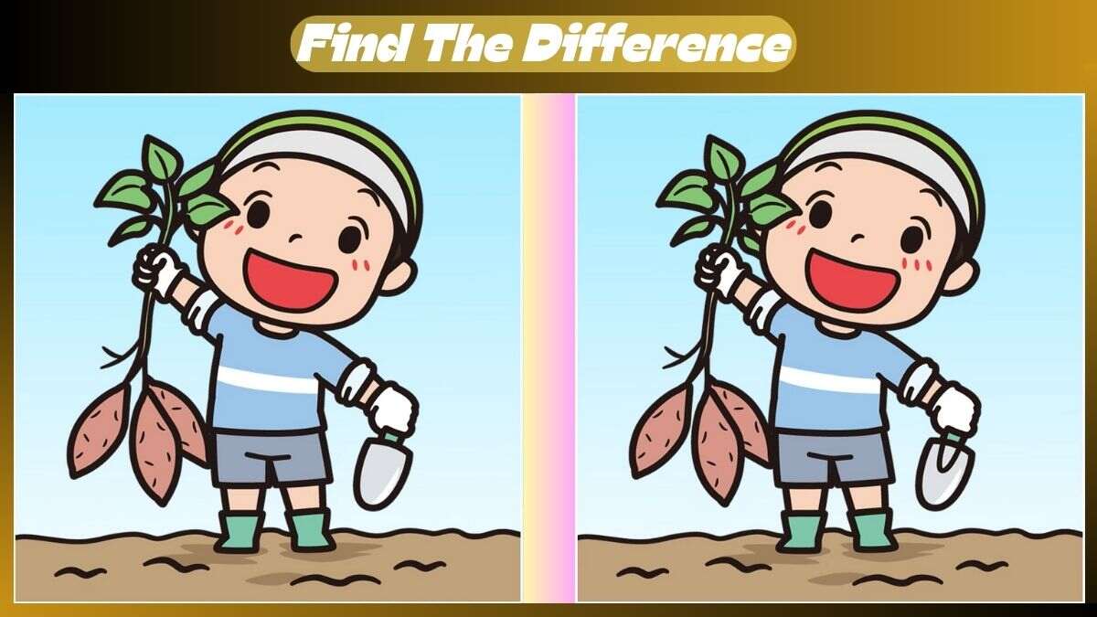 Τεστ παρατηρητικότητας, διαφορές αγρότης