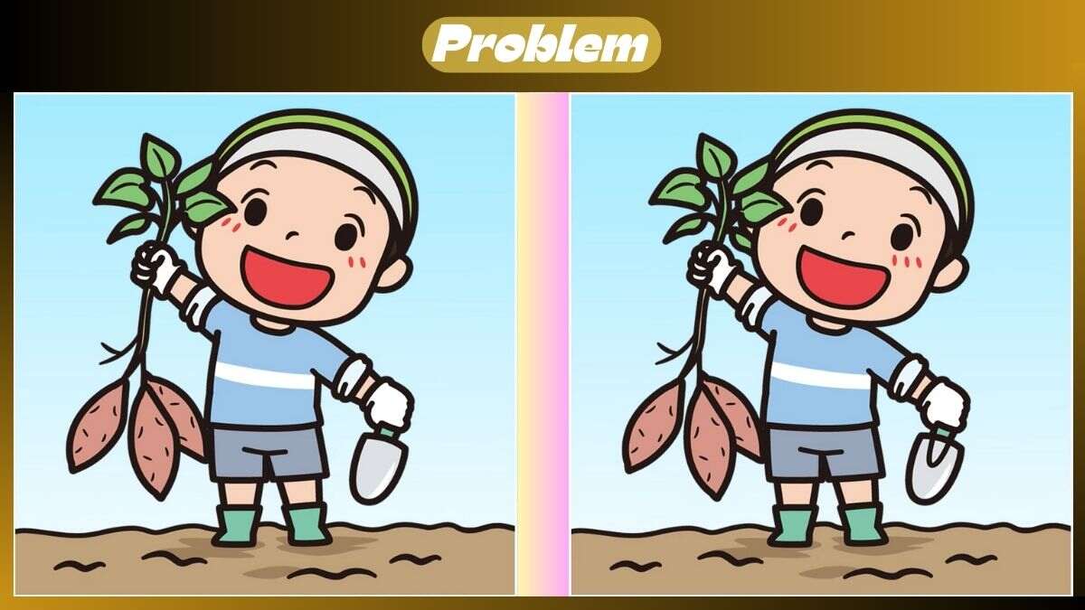 Τεστ παρατηρητικότητας, διαφορές αγρότης