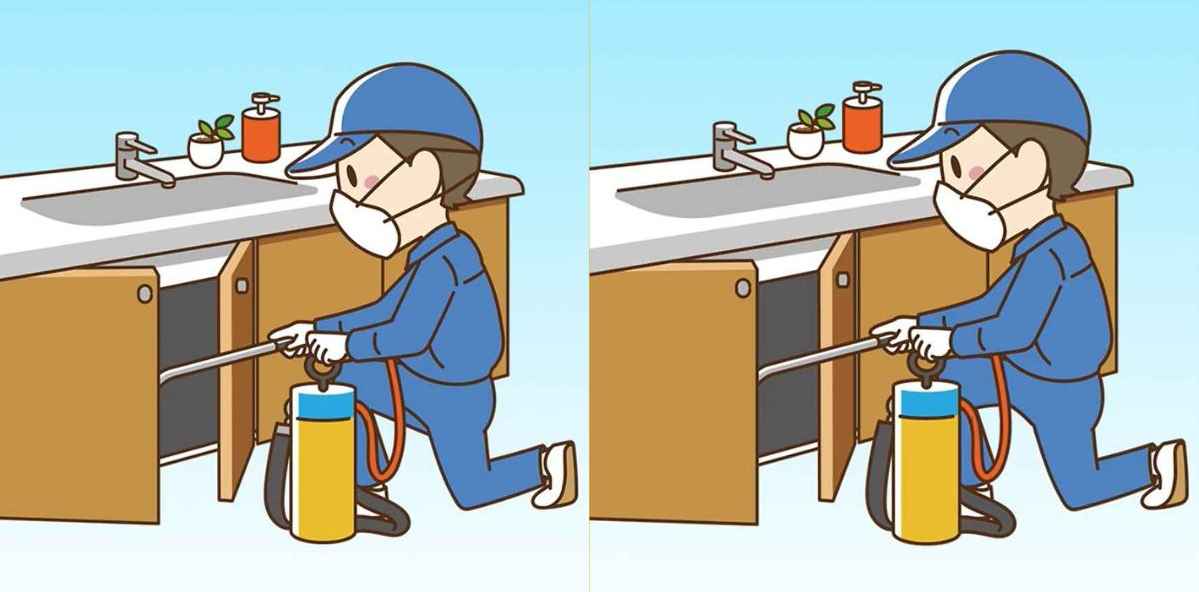 Τεστ παρατηρητικότητας, διαφορές, άνδρας Απεντόμωση