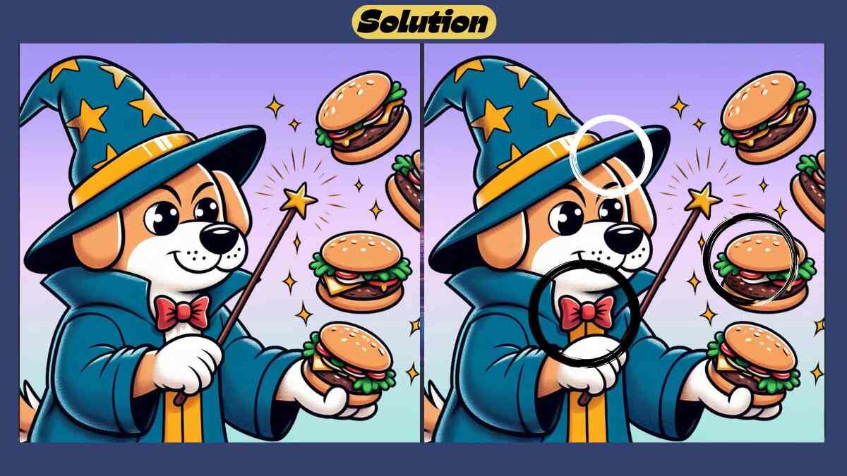 Τεστ παρατηρητικότητας διαφορές σκύλος μάγος λύση