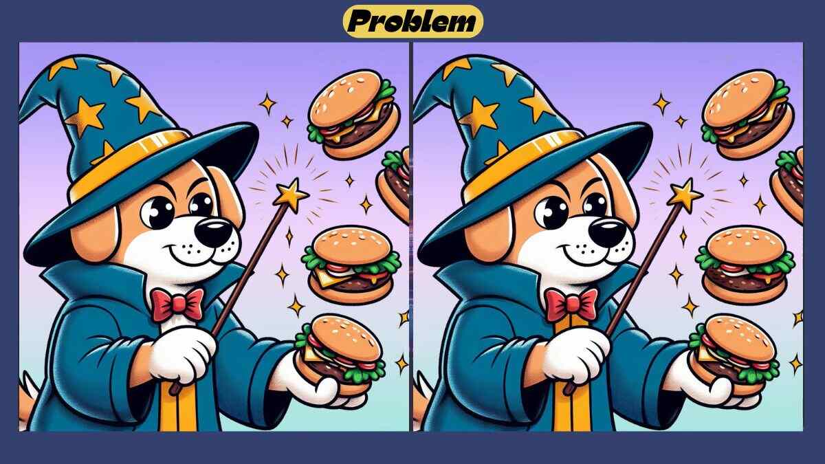 Τεστ παρατηρητικότητας διαφορές σκύλος μάγος