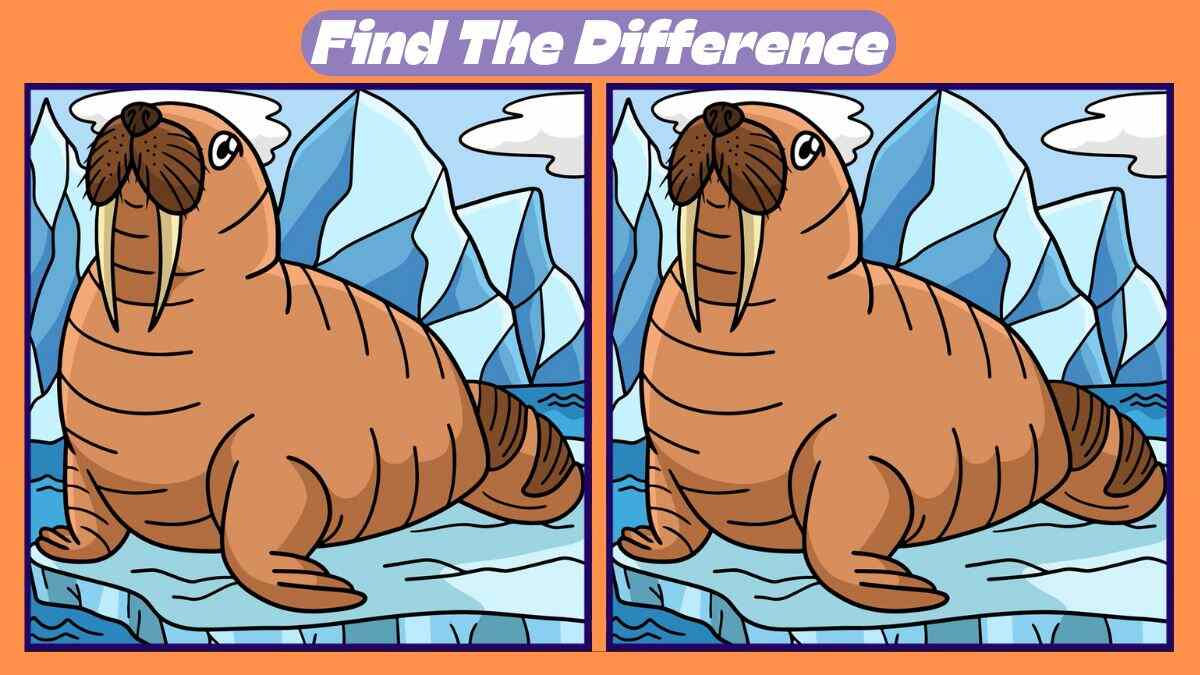 Τεστ παρατηρητικότητας, διαφορές θαλάσσιος ίππος