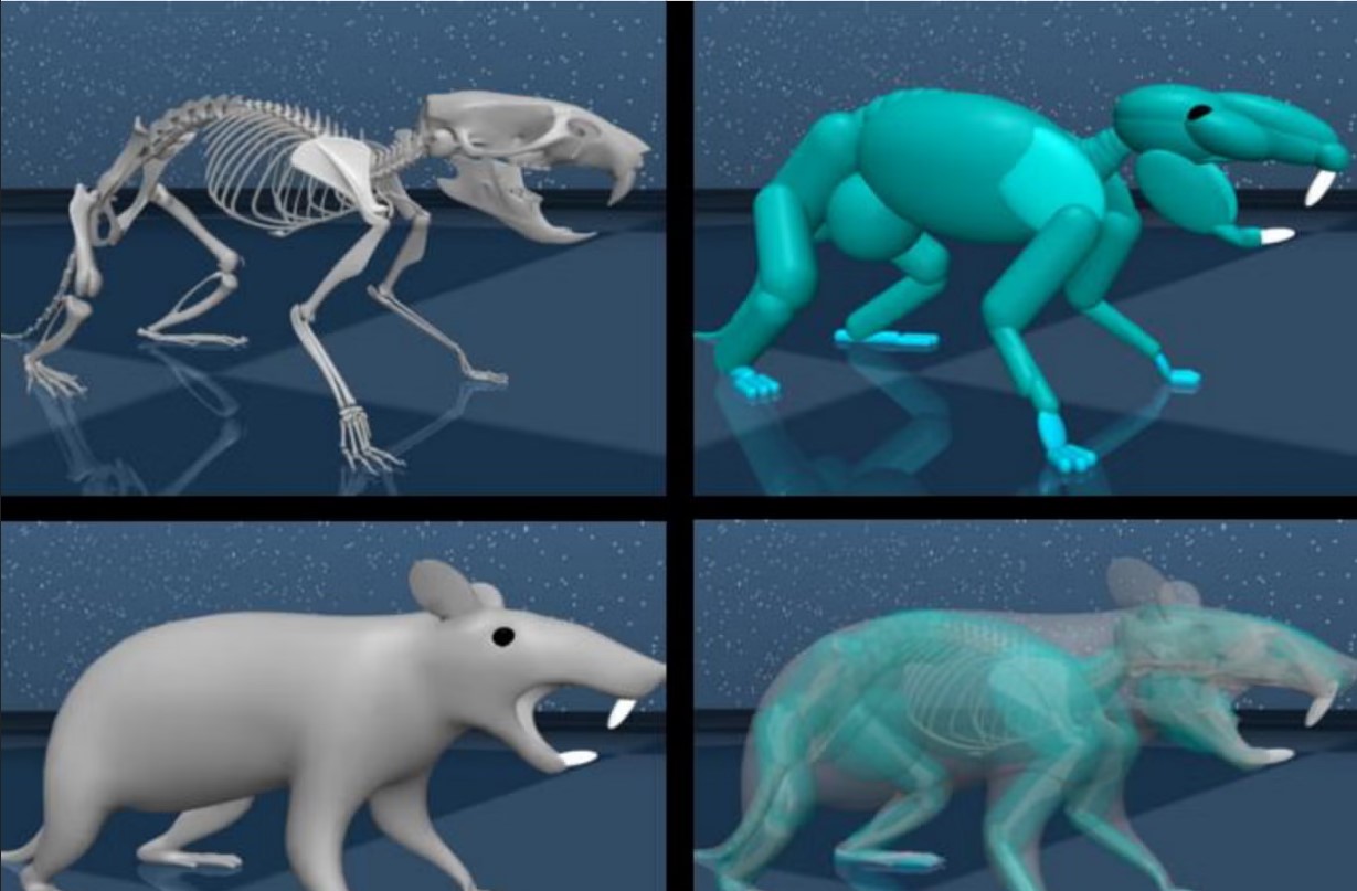 Deep Mind virutal rat