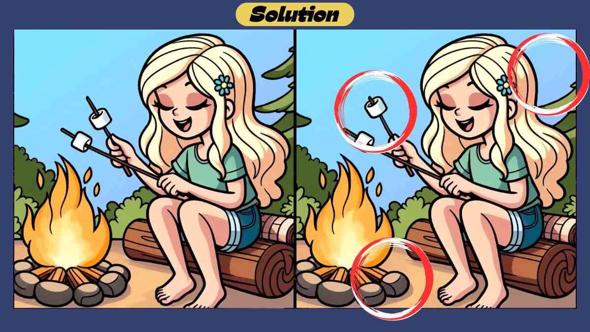Τεστ παρατηρητικότητας διαφορές κοπέλα marshmallow λύση