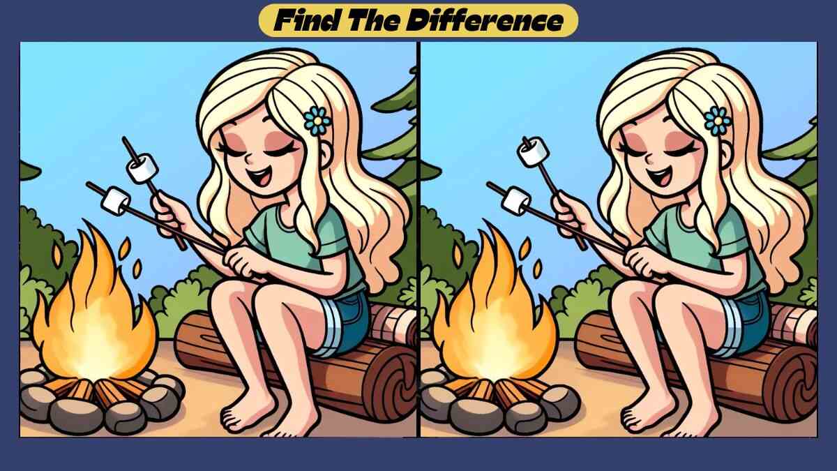 Τεστ παρατηρητικότητας διαφορές κοπέλα marshmallow