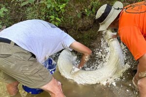Σκόνταψε τυχαία πάνω σε έναν τεράστιο χαυλιόδοντα – Αποδείχθηκε ότι έκανε μία ιστορική ανακάλυψη