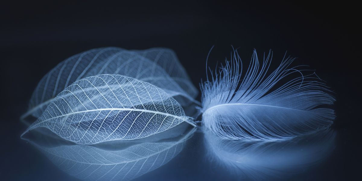 Τεστ προσωπικότητας: Αυτό που βλέπεις πρώτα στην εικόνα αποκαλύπτει εάν είσαι καχύποπτος ή εμπιστεύεσαι εύκολα τους ανθρώπους