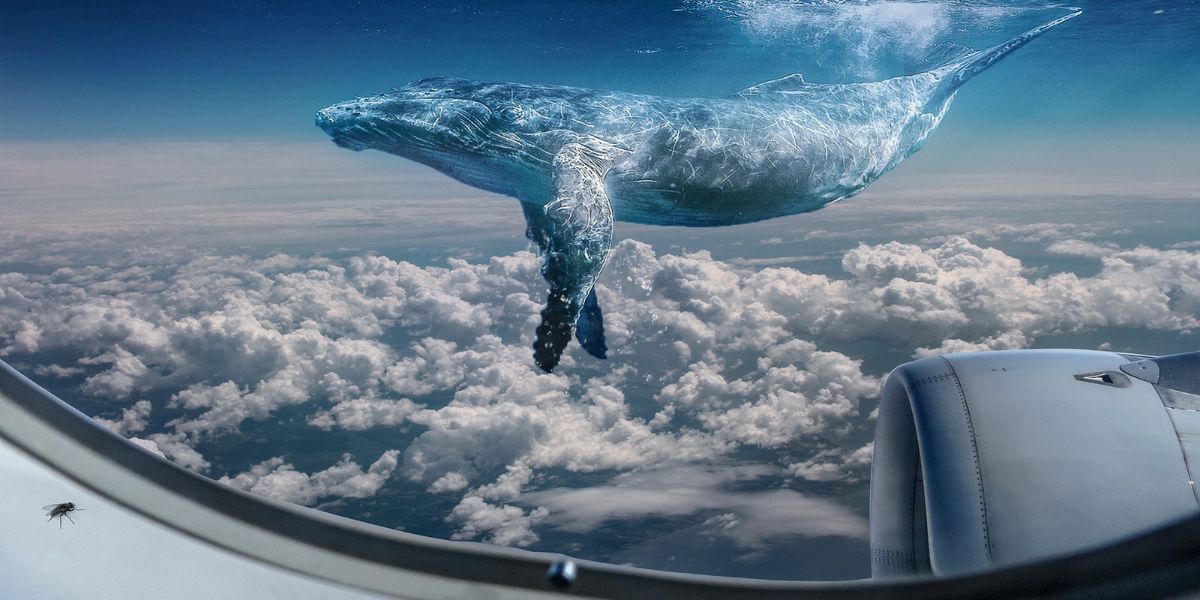 τεστ προσωπικότητας