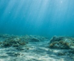 Εξερευνώντας την αρχαία βυθισμένη αποικίας της Αυστραλίας – Νέες αποκαλύψεις για την ανθρώπινη ιστορία