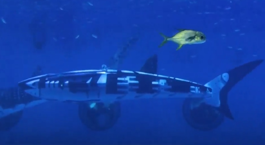 Καρχαρίας Ρομπότ