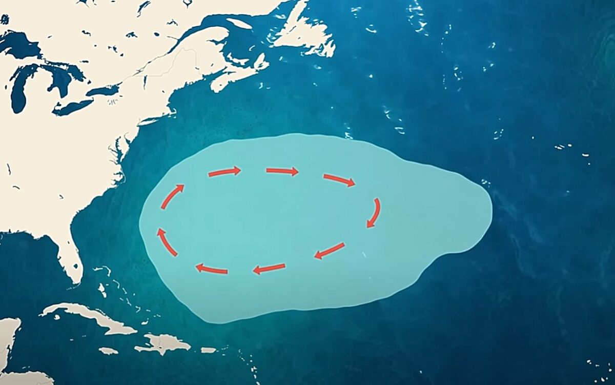 Θάλασσα Σαργασσών