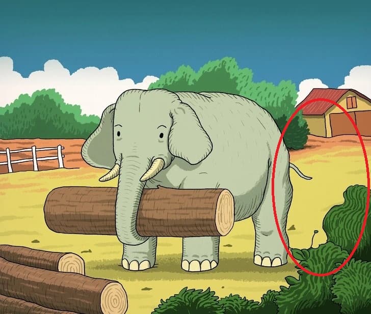 Σπαζοκεφαλιά, άλογο λύση
