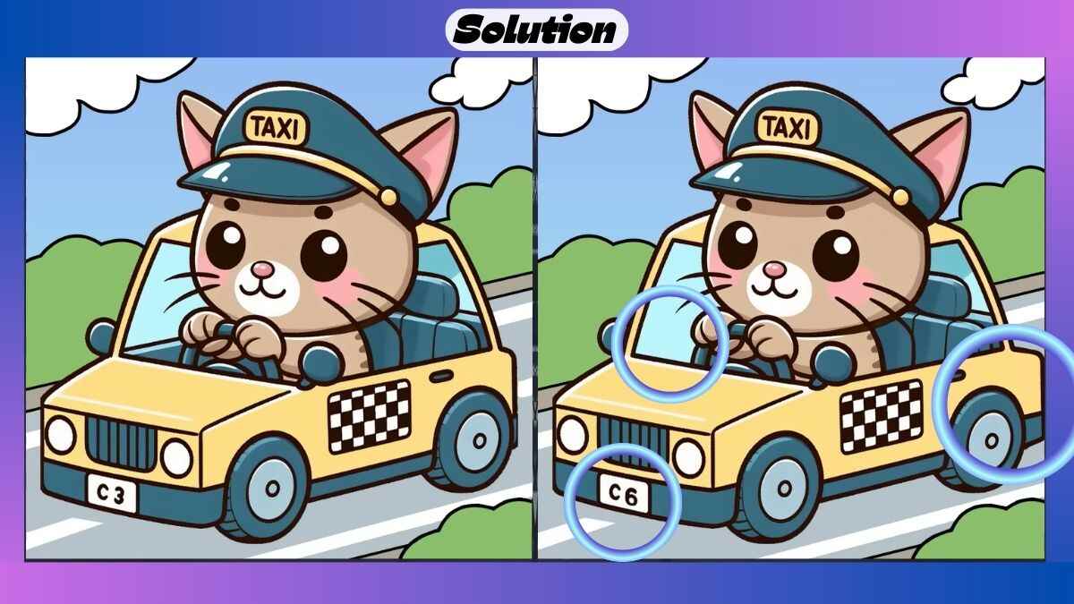 Τεστ παρατηρητικότητας, διαφορές, γάτα, αστυνομικό λύση