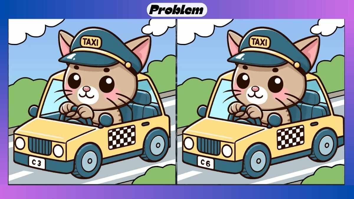 Τεστ παρατηρητικότητας, διαφορές, γάτα, αστυνομικό