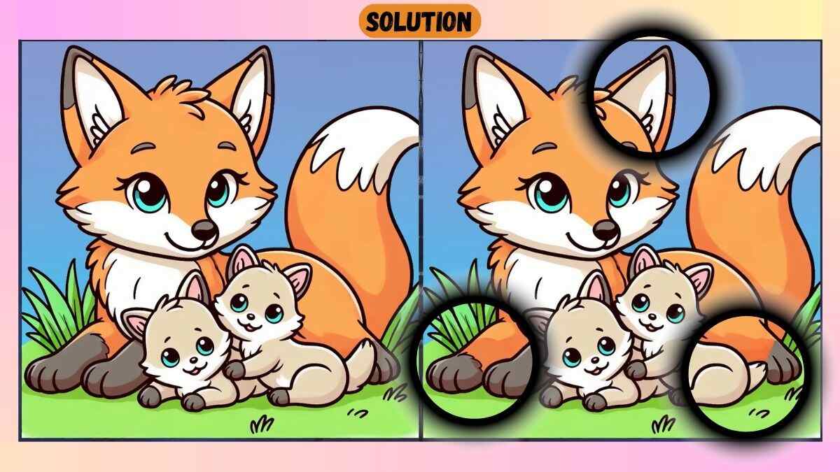 Τεστ παρατηρητικότητας, διαφορές, αλεπού λύση