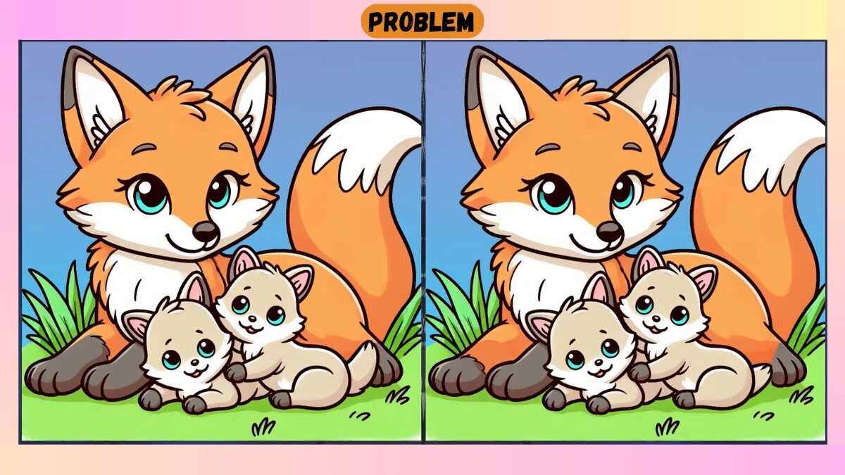 Τεστ παρατηρητικότητας, διαφορές, αλεπού