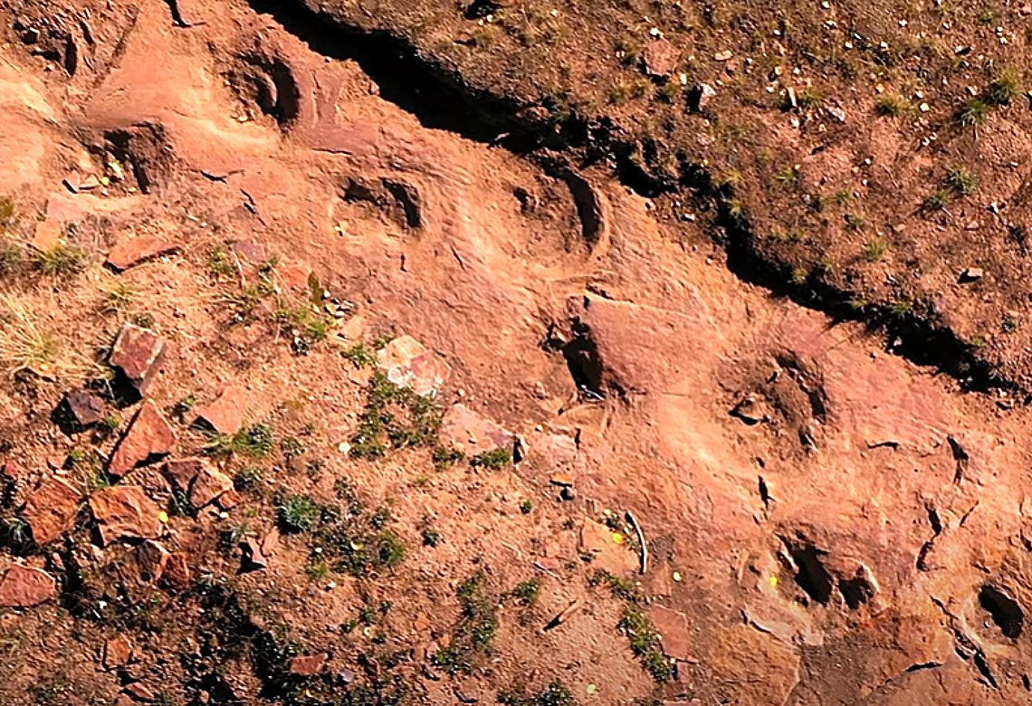 πατημασιές, δεινόσαυροι