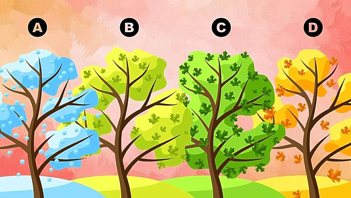 τεστ προσωπικότητας