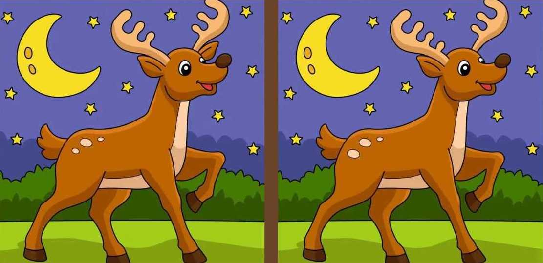 Τεστ παρατηρητικότητας, διαφορές, ελάφι 
