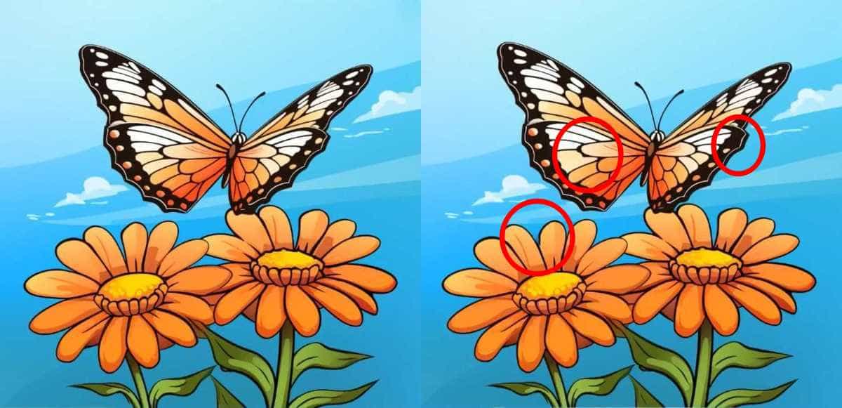 Τεστ παρατηρητικότητας, διαφορές, πεταλούδα