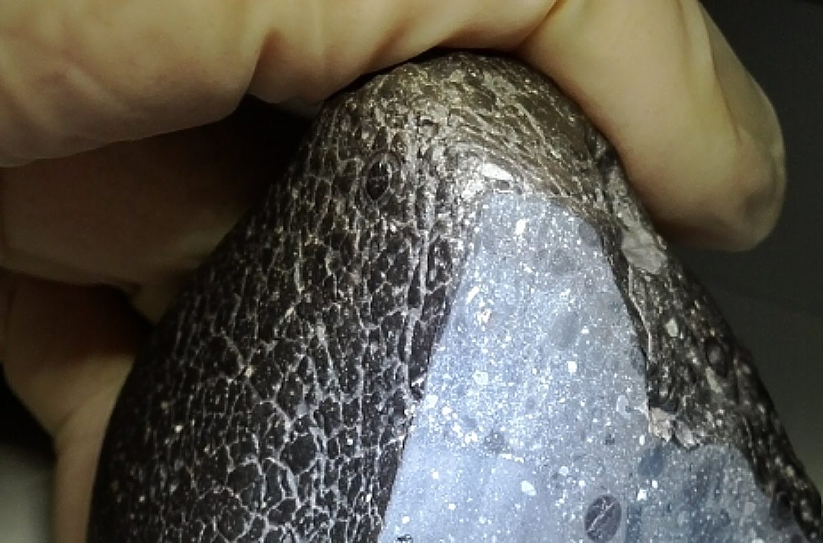 Black Beauty, Άρης, μετεωρίτης