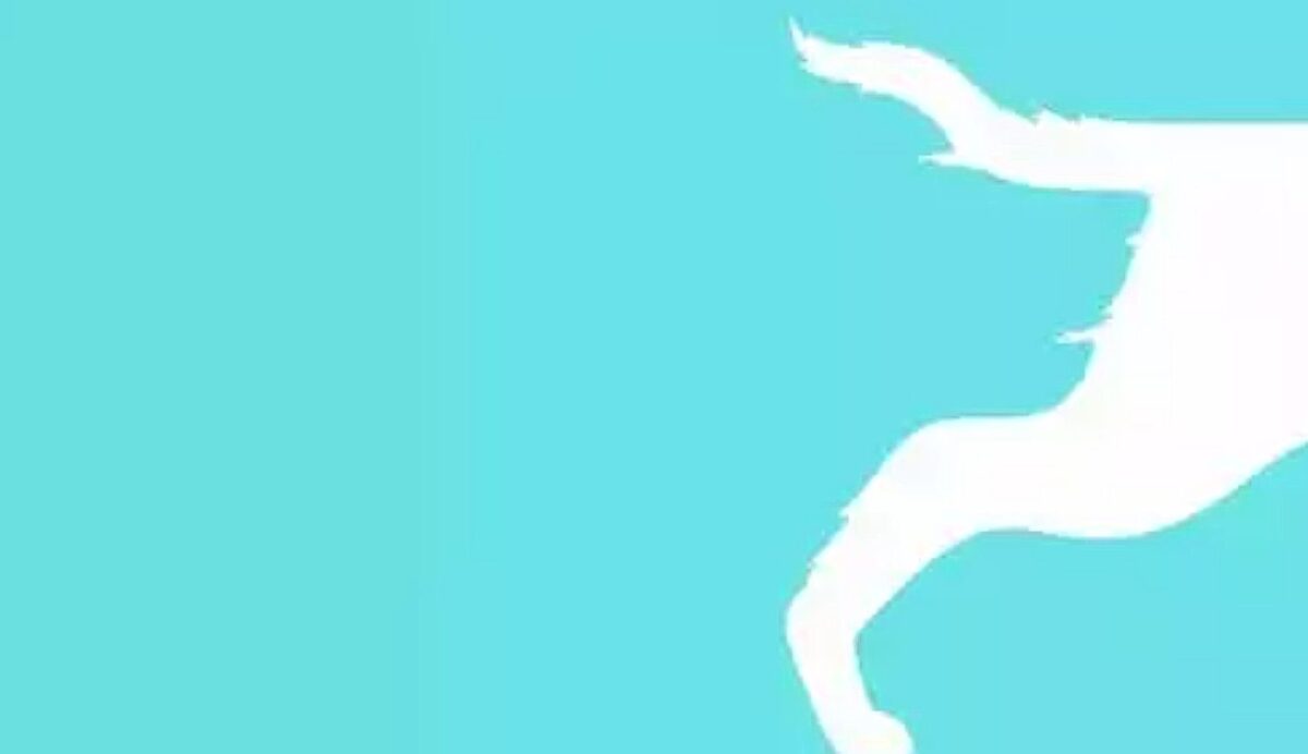 τεστ προσωπικότητας, οπτικό, εικόνα