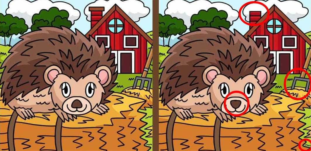 Τεστ παρατηρητικότητας, διαφορές, σκαντζόχοιρος λύση