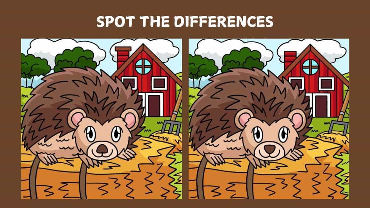 Τεστ παρατηρητικότητας, διαφορές, σκαντζόχοιρος