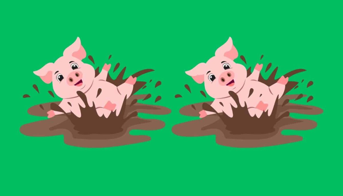 Τεστ παρατηρητικότητας, διαφορές, γουρουνάκι