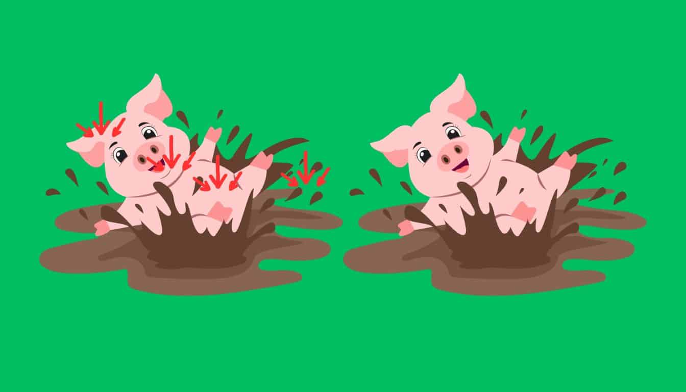 Τεστ παρατηρητικότητας, διαφορές, γουρουνάκι λύση