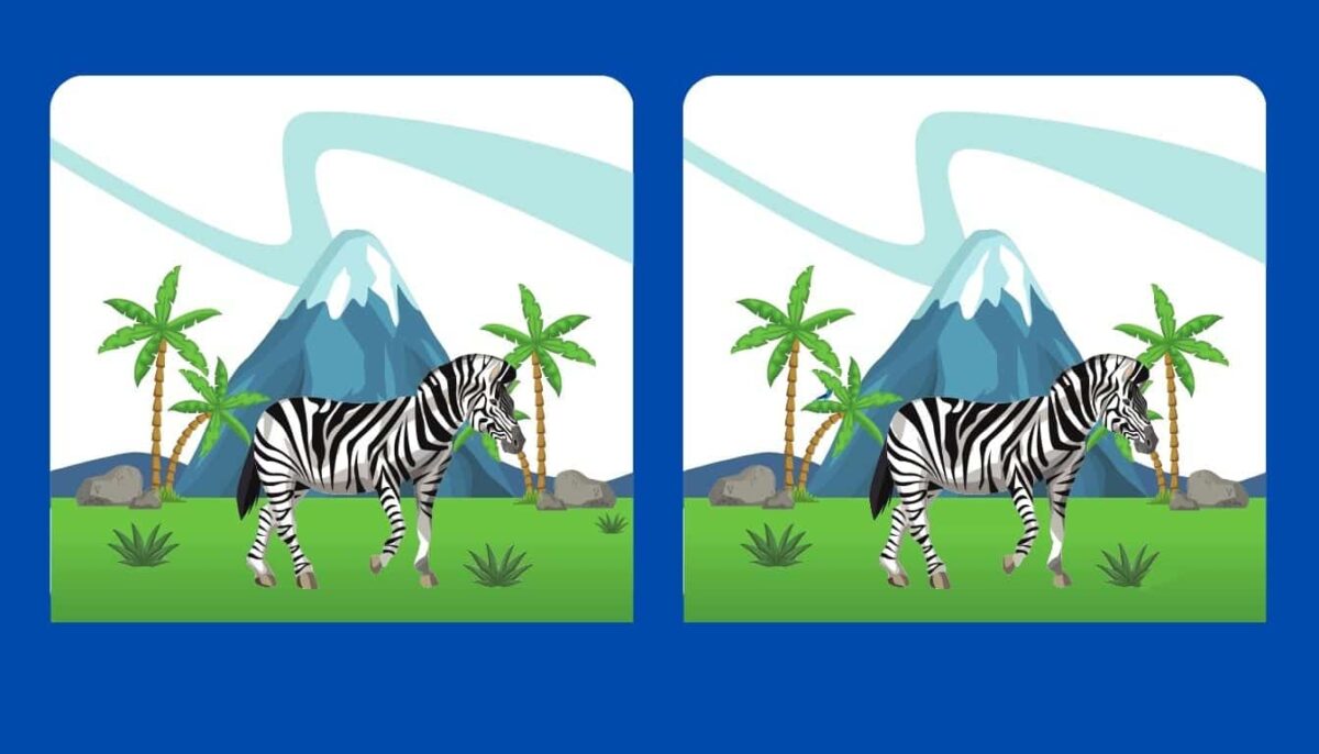 Τεστ παρατηρητικότητας, διαφορές, ζέβρα