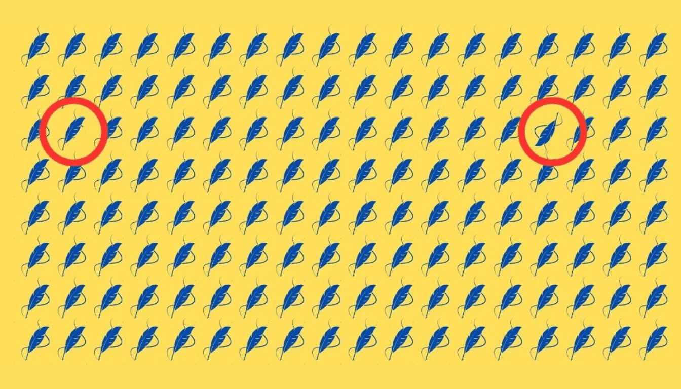 Σπαζοκεφαλιά φτερό