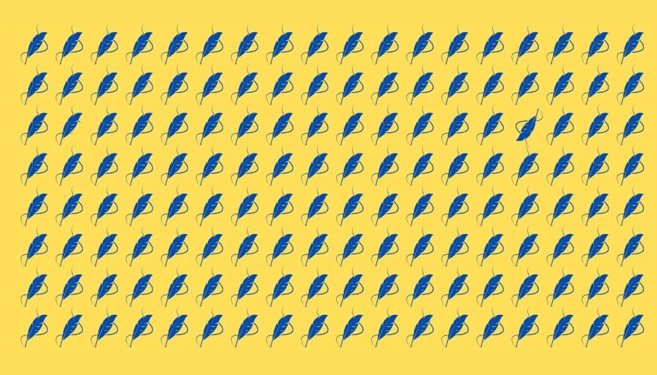 Σπαζοκεφαλιά φτερό