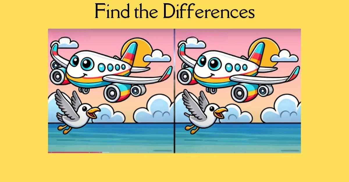 Τεστ παρατηρητικότητας, διαφορές, αεροπλάνο