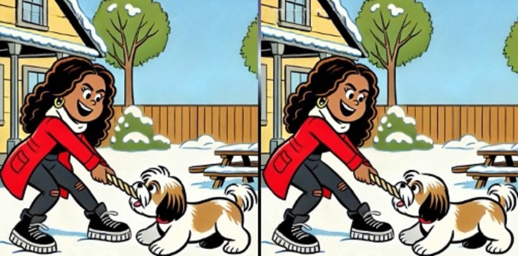 Τεστ παρατηρητικότητας, διαφορές, κοπέλα, σκύλος