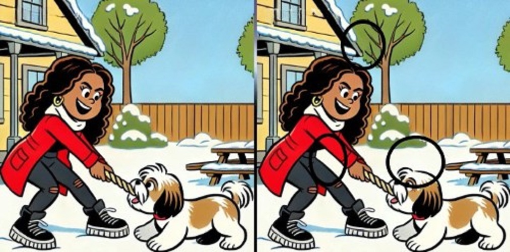 Τεστ παρατηρητικότητας, διαφορές, κοπέλα, σκύλος