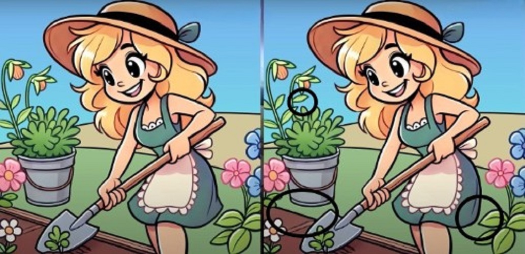 Τεστ παρατηρητικότητας, διαφορές, κορίτσι, κήπος