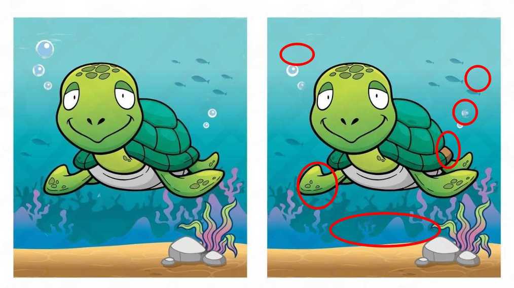 Τεστ παρατηρητικότητας, διαφορές, χελώνα