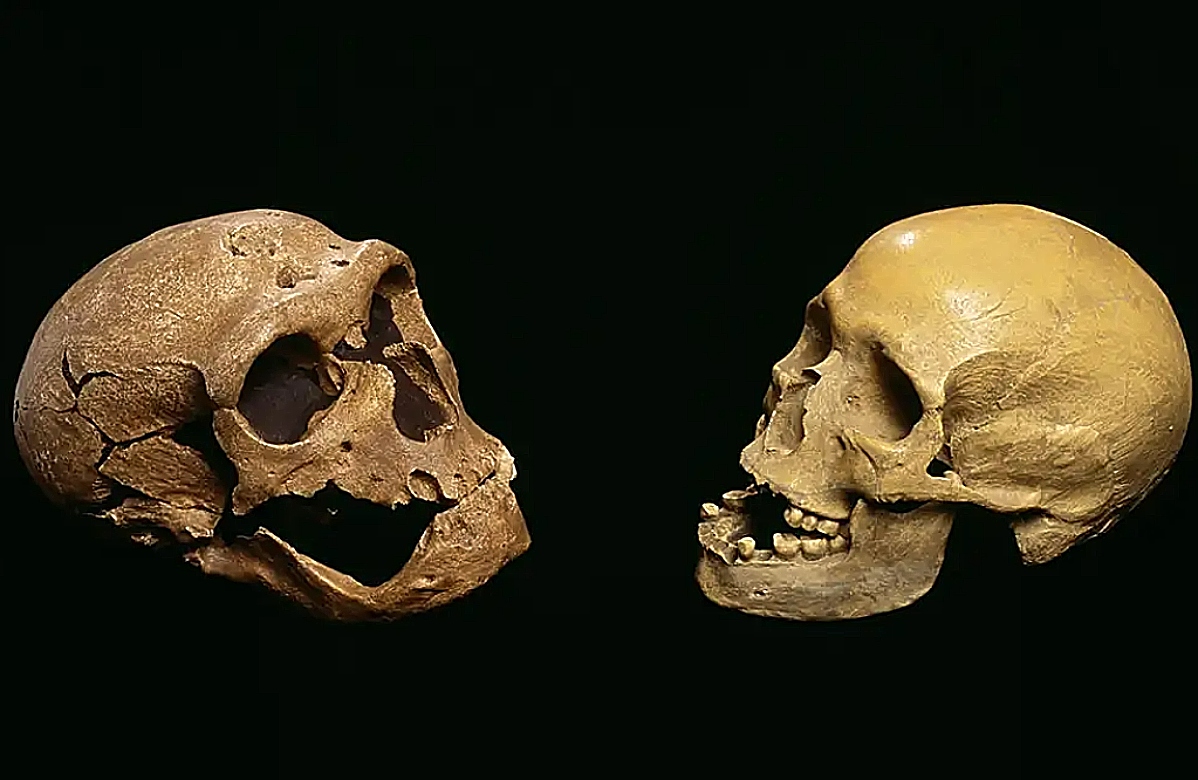 Νεάντερταλ