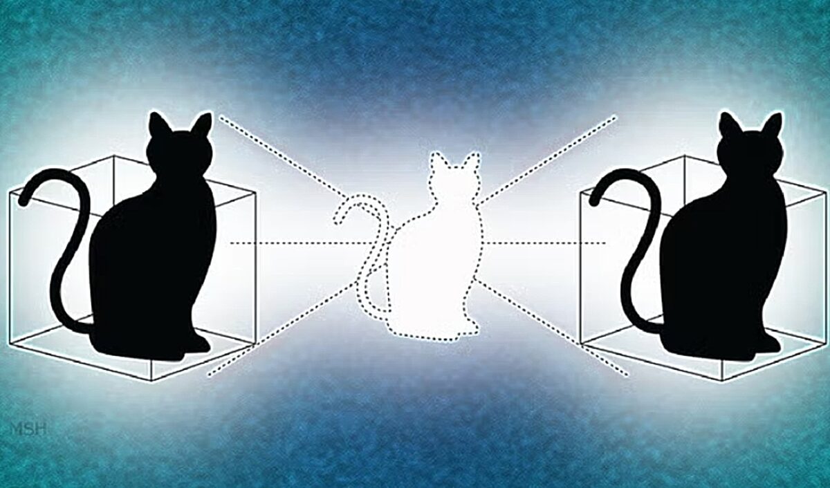 Γάτα Schrödinger, κβαντικοί υπολογιστές