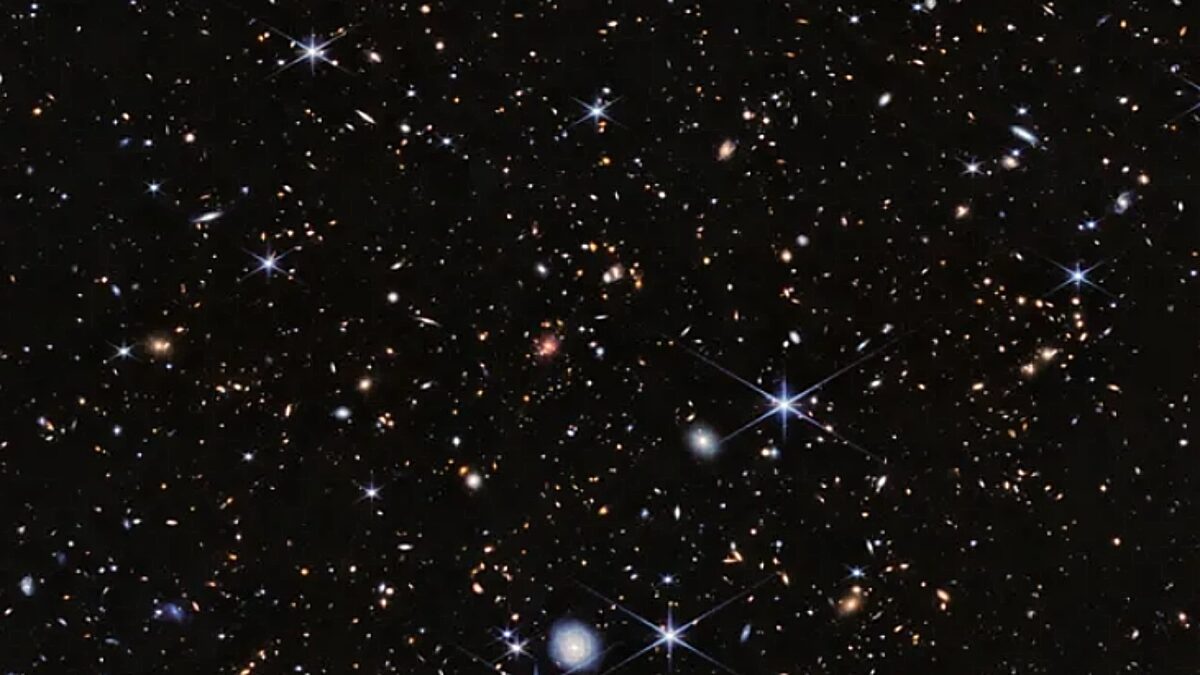 Μαύρες τρύπες, James Webb, Spiderweb protocluster