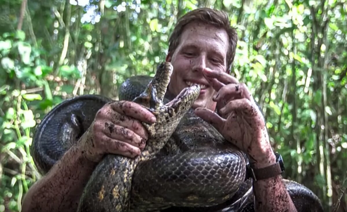 φίδι, Αμαζόνιος, Freek Vonk