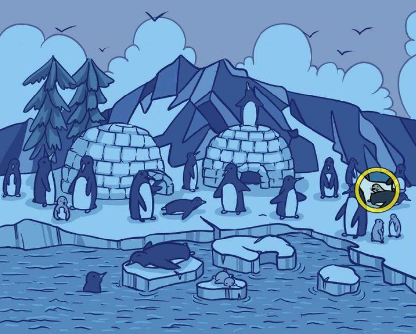 Σπαζοκεφαλια φώκια