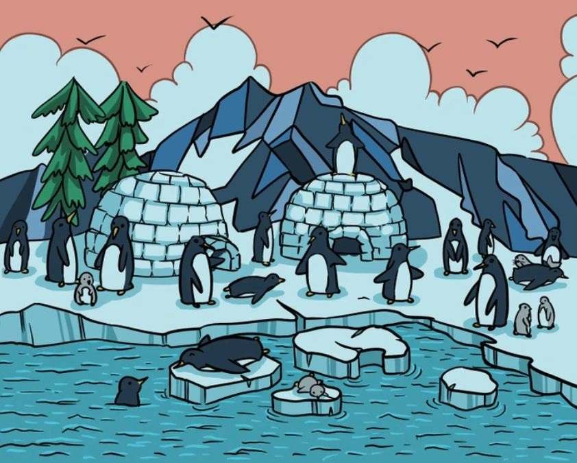 Σπαζοκεφαλια φώκια