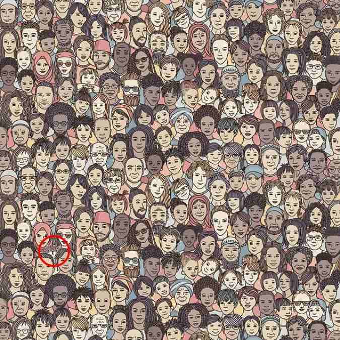 σπαζοκεφαλιά, γάτα